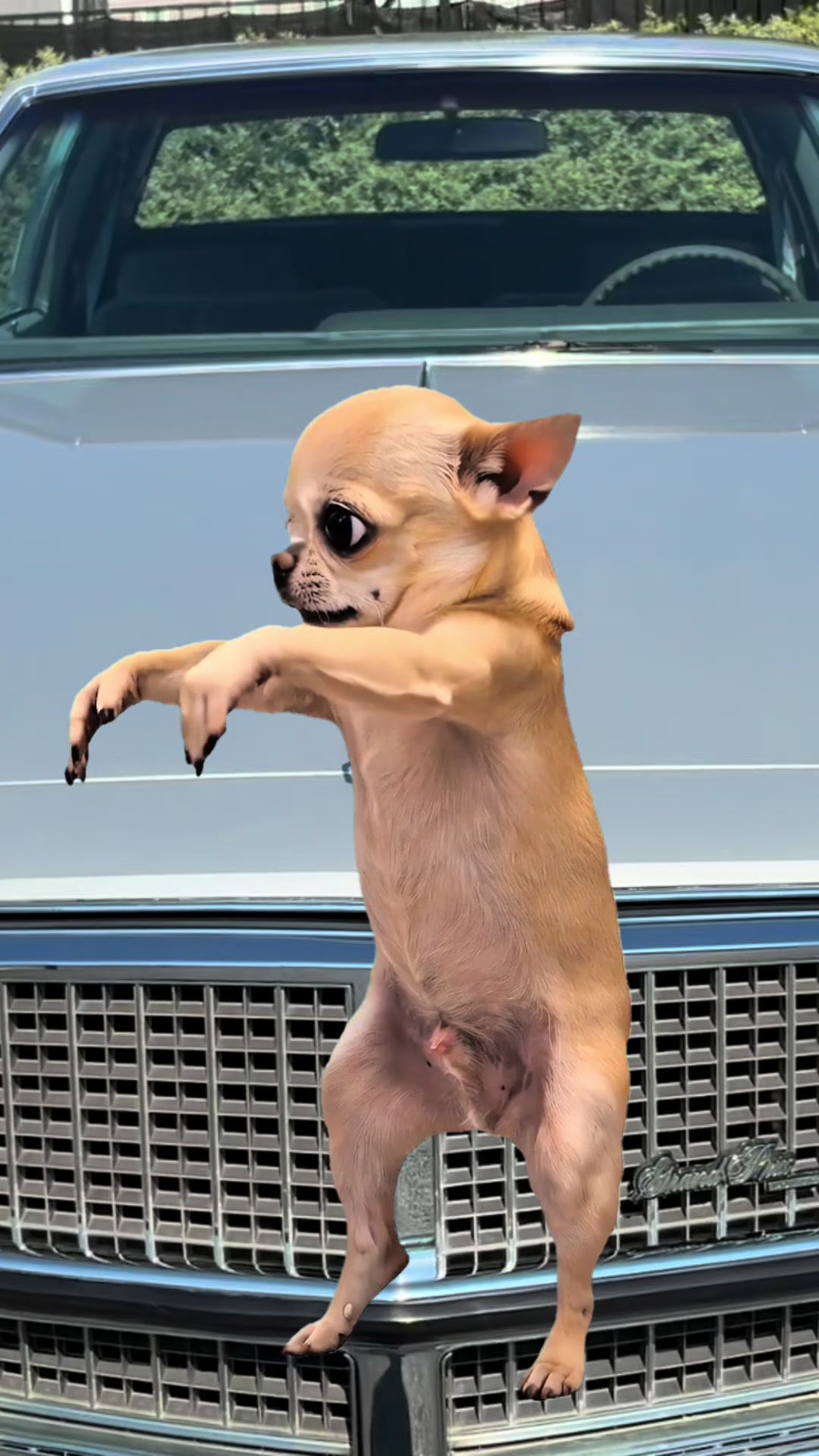 @_THIS__F00L_