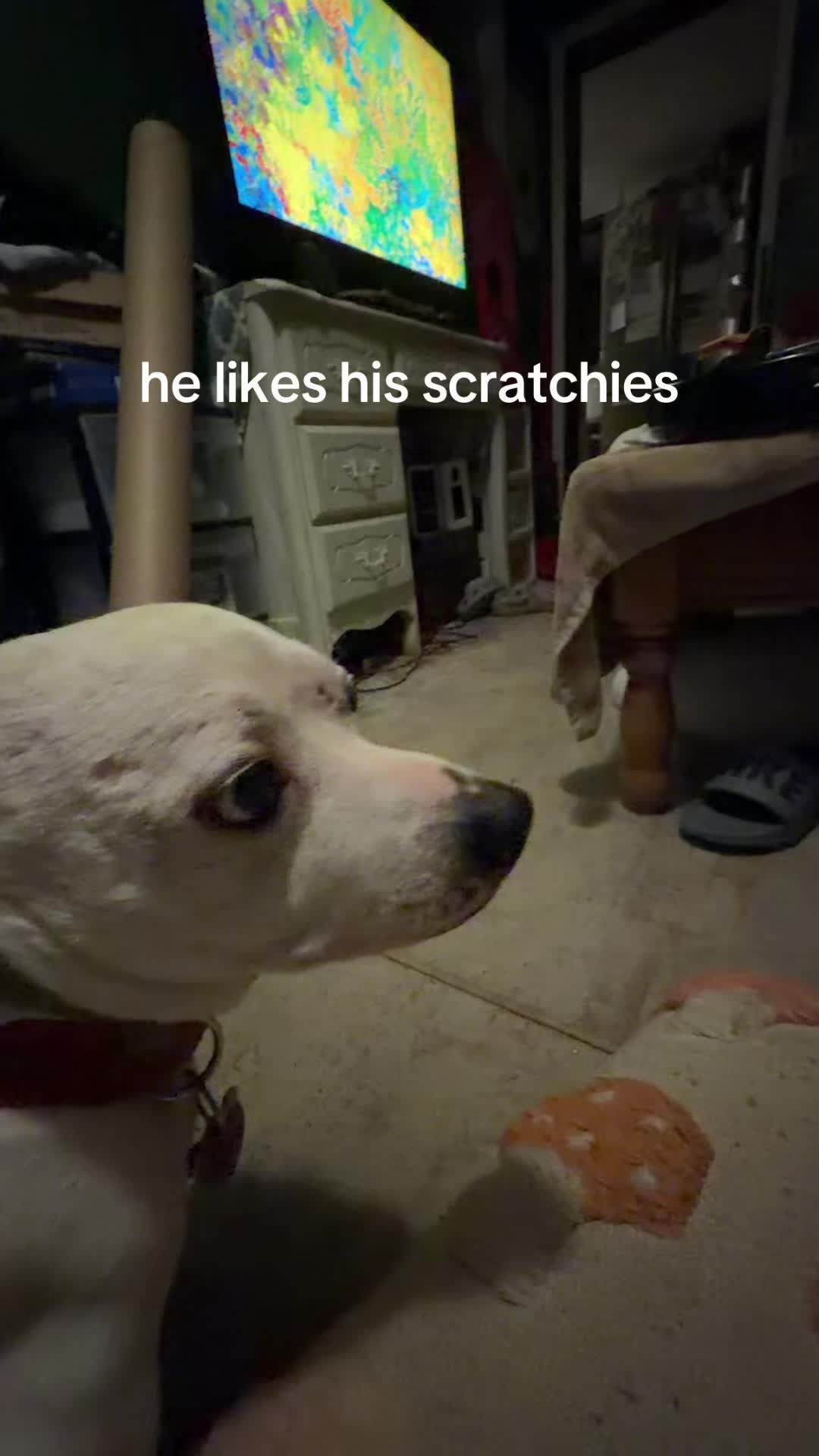 @Maxkz