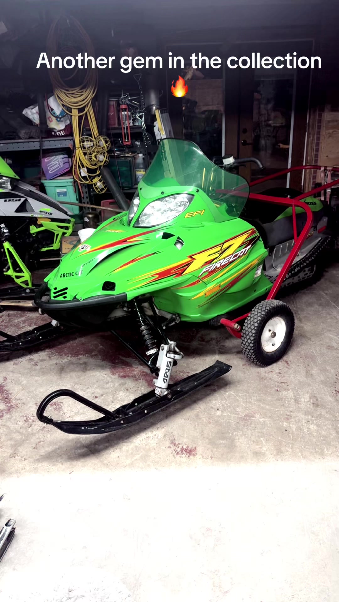 @Arcticcatmatt