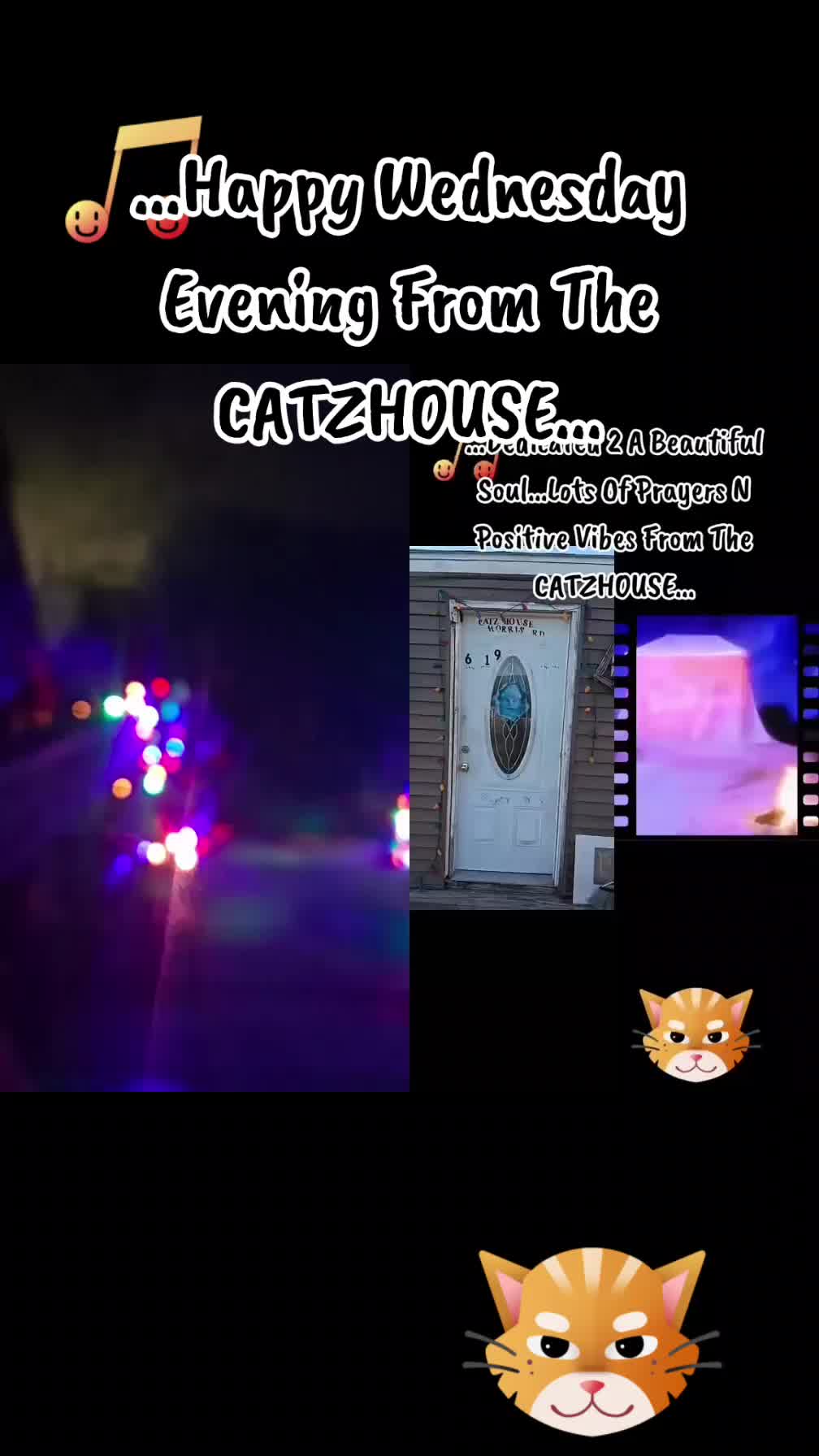 @Booh Hovey crazycatlady3
