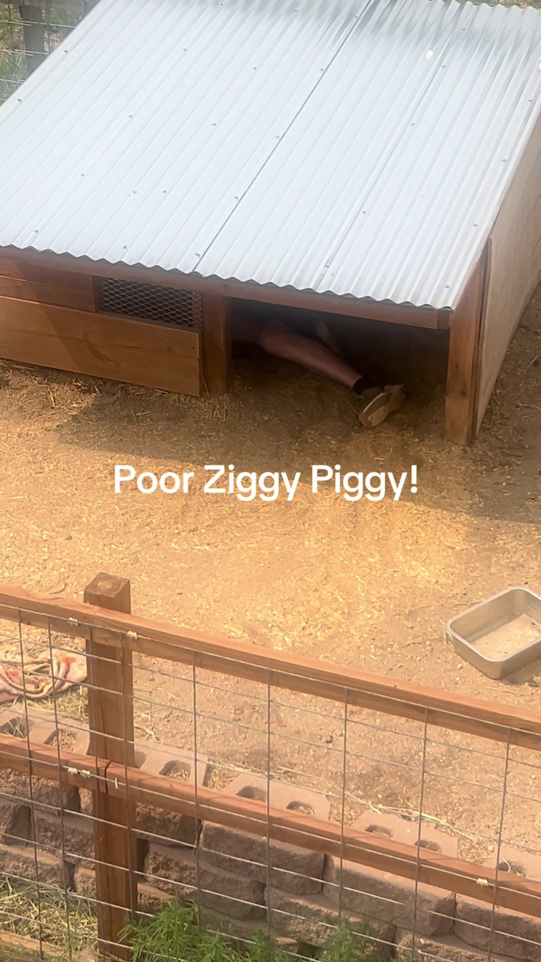 @Yakety Yak Ranch