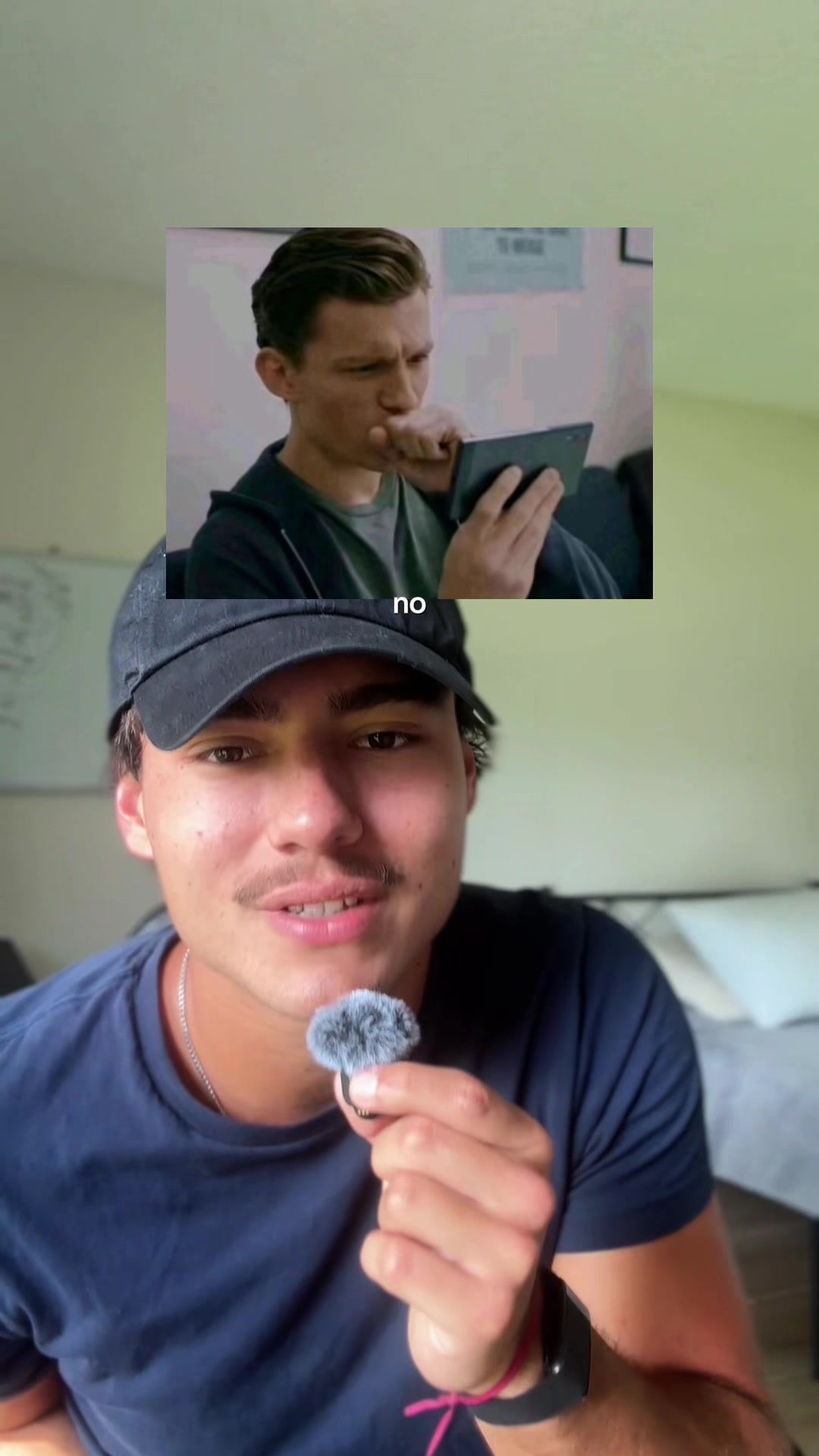@mendiolaenusa