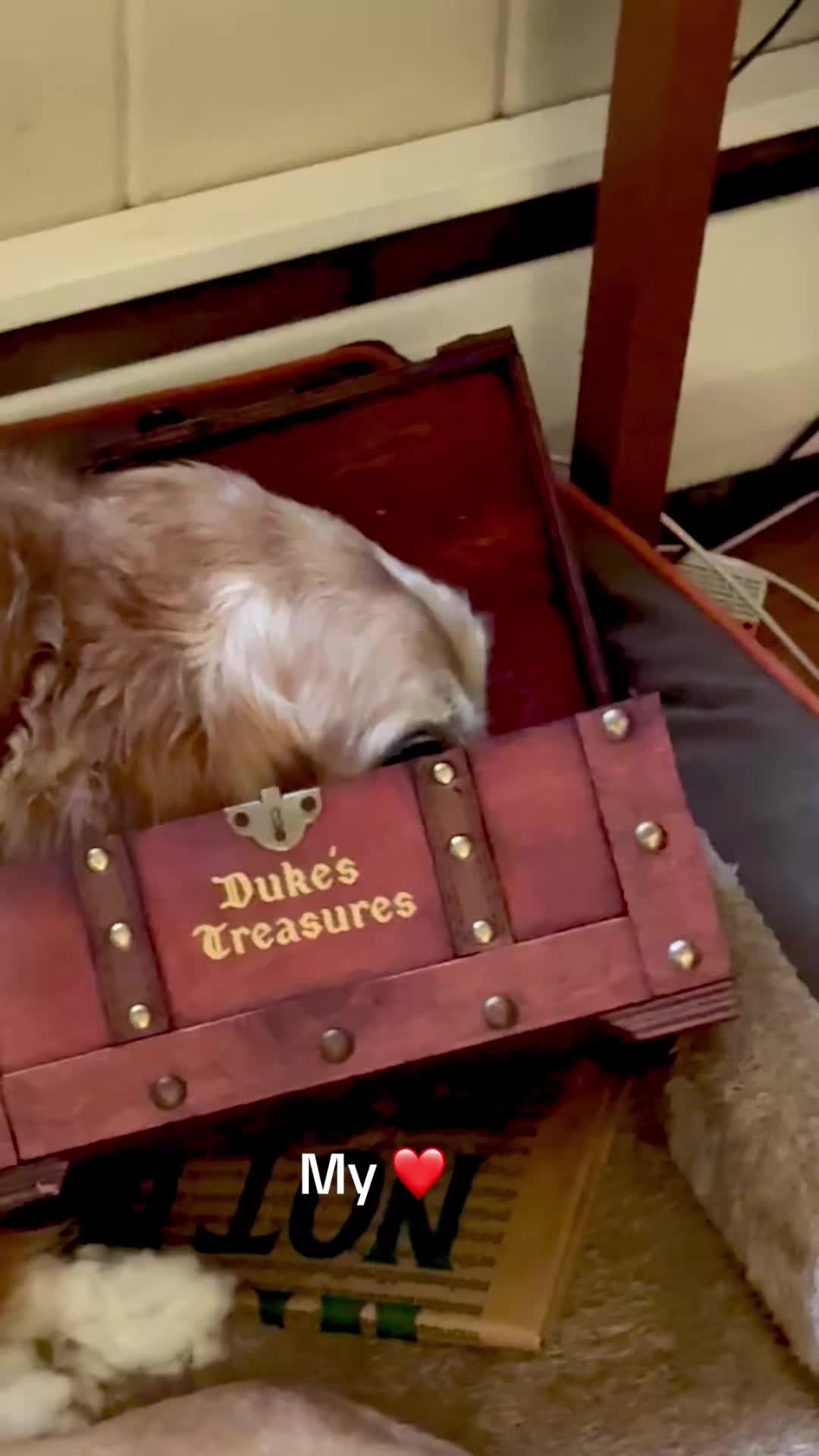 @lifewithduke2025