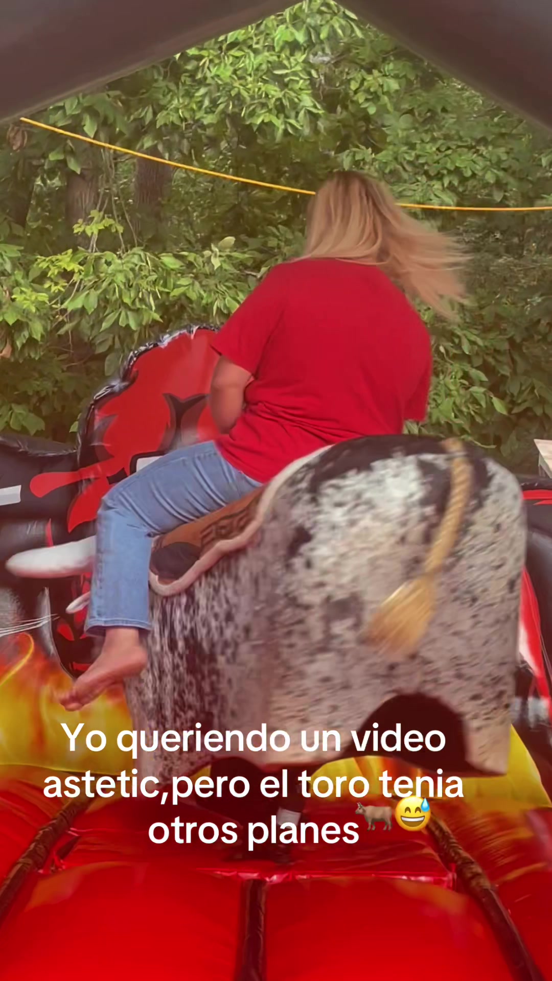 @Michelle canales 504