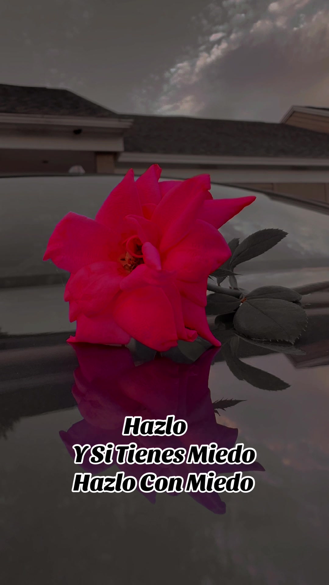 @🌺🐣𝓕𝓵𝓸𝓻𝔂🧚&zwj;♀️🖤💀🐇