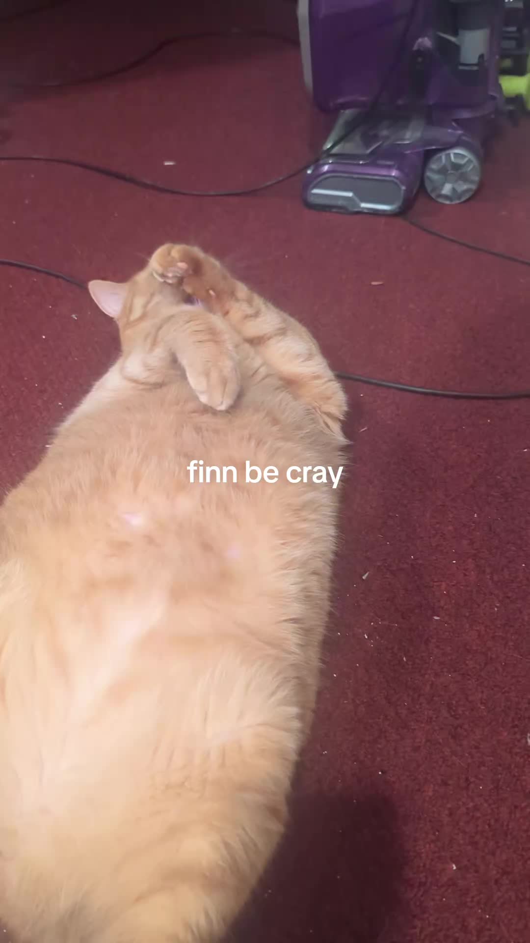 @sammich