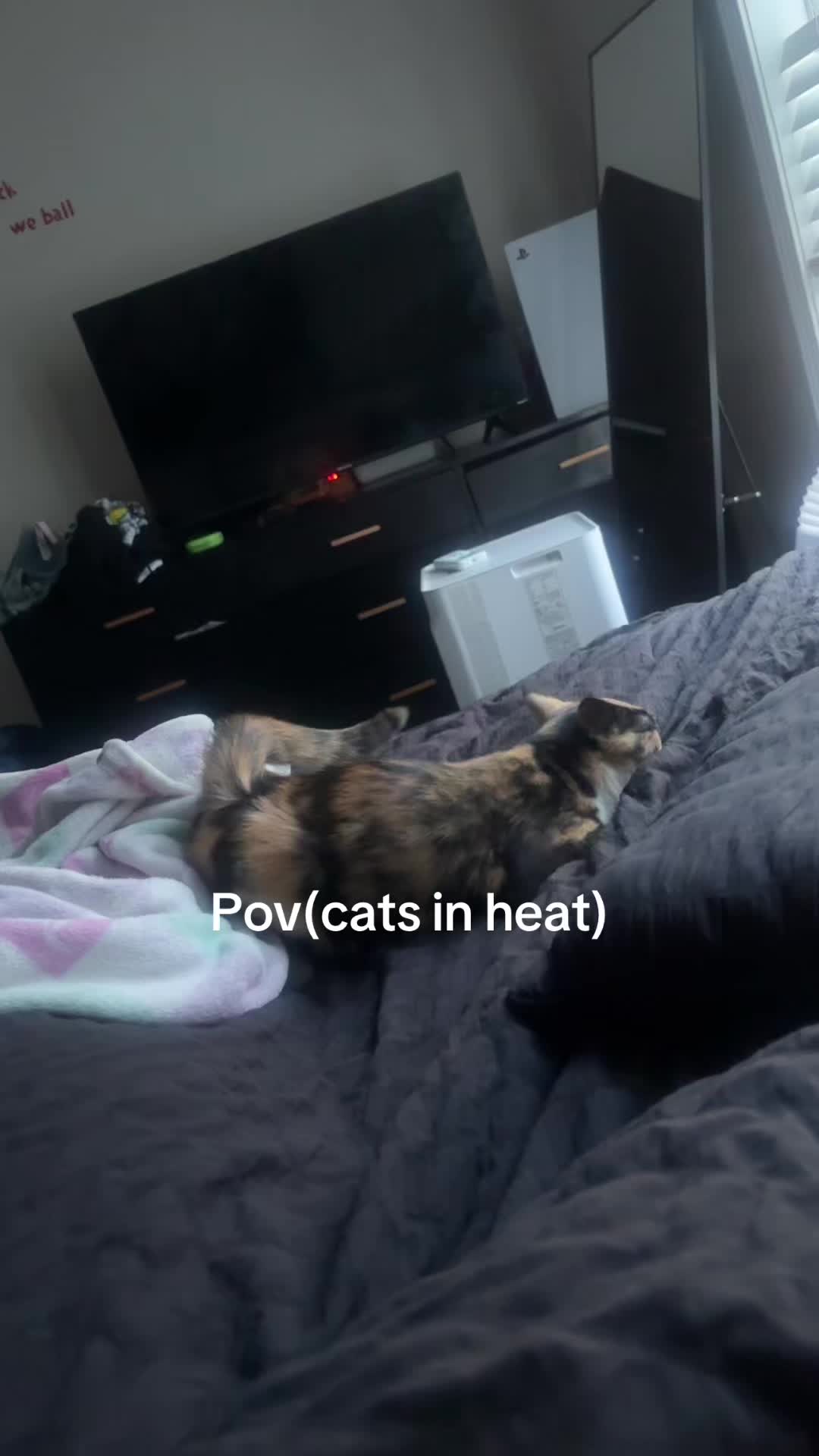 @jo
