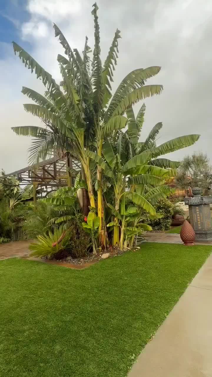 @kamalachan8