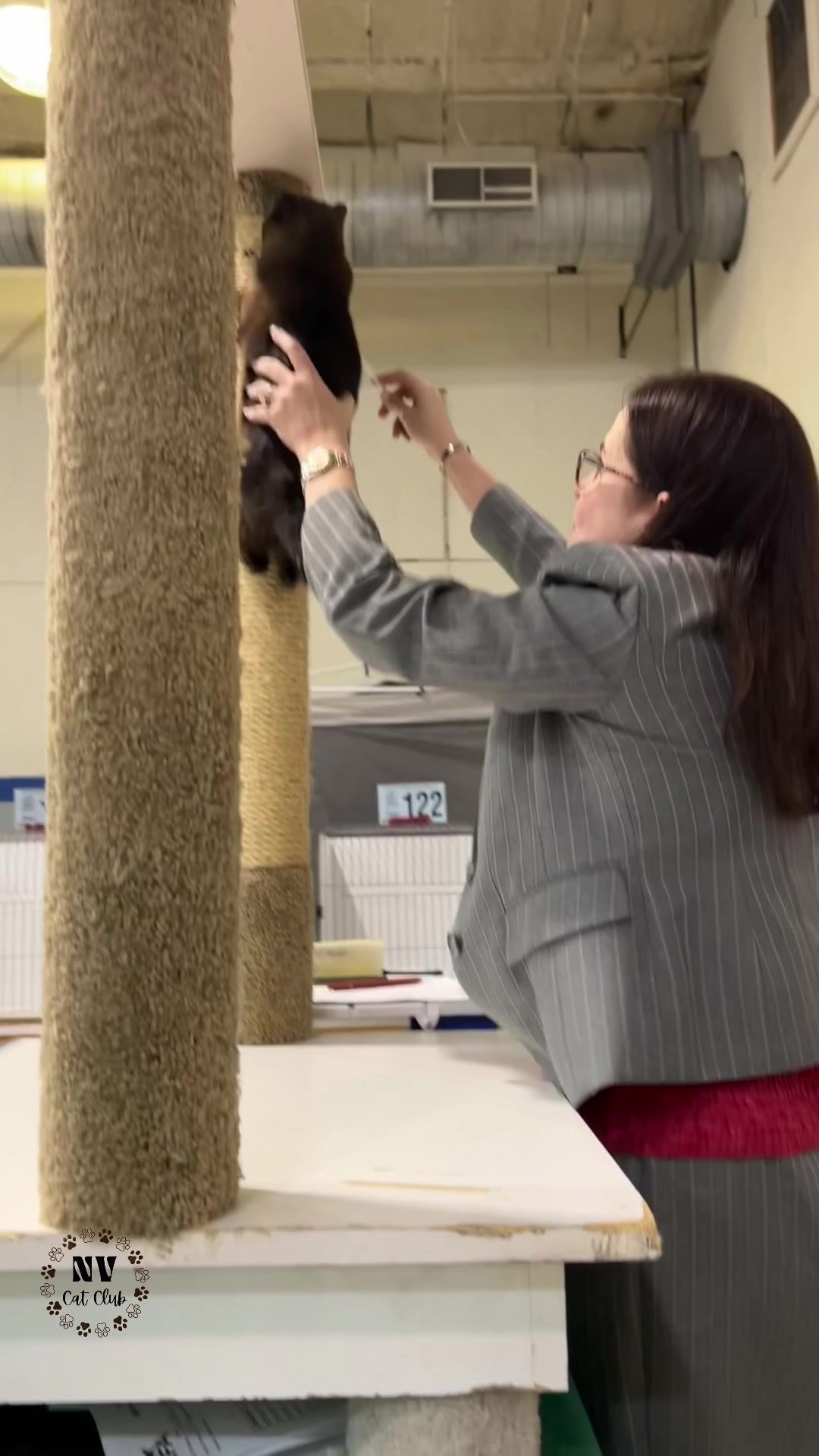 @NewVisionCatClub