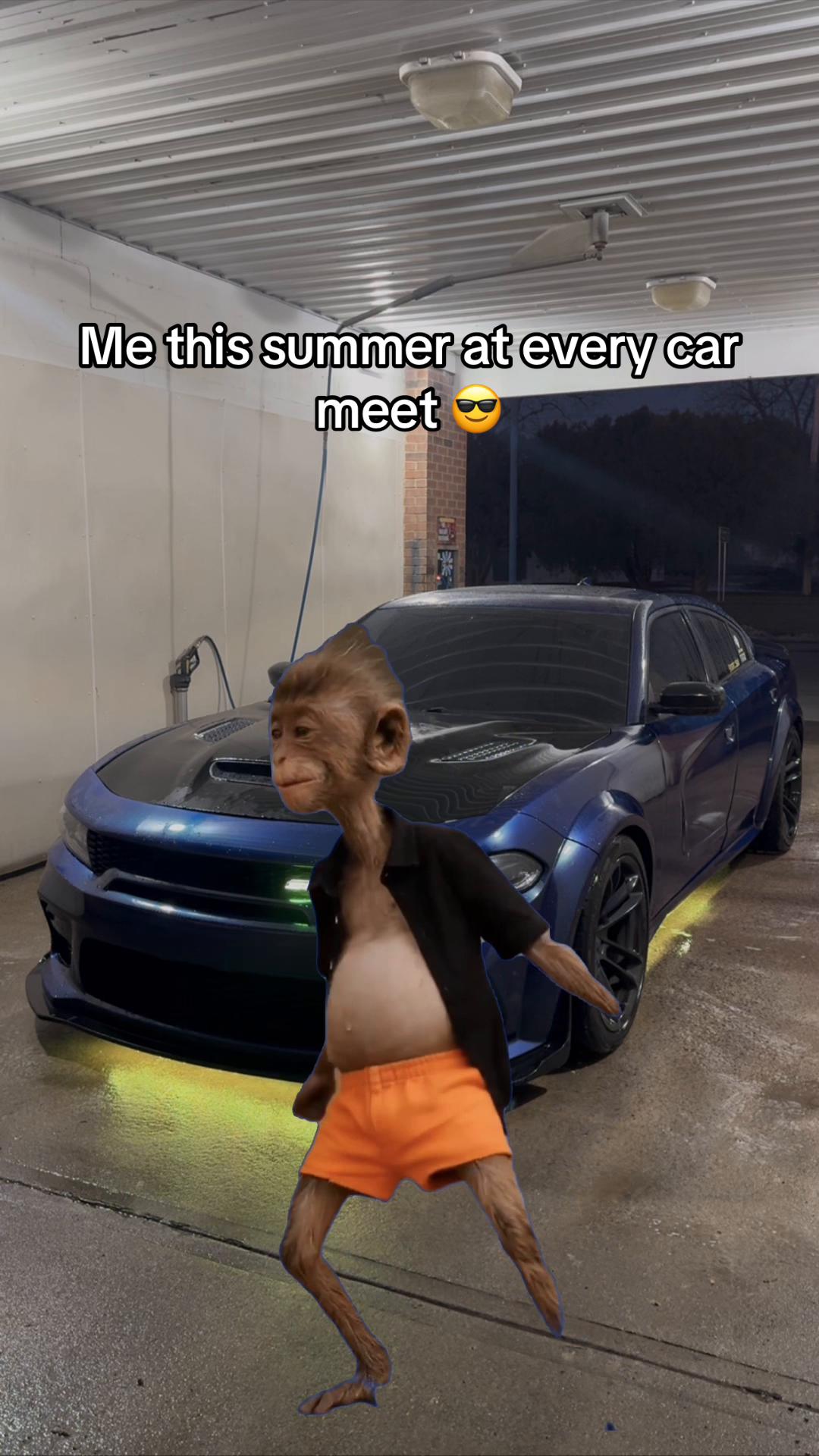 @WhoSaèę