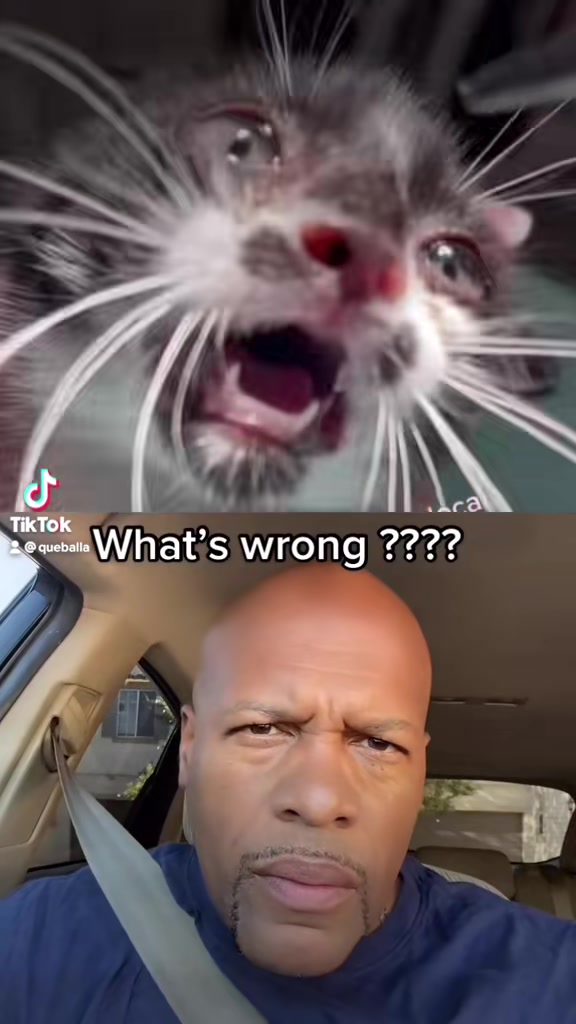 @Queballa