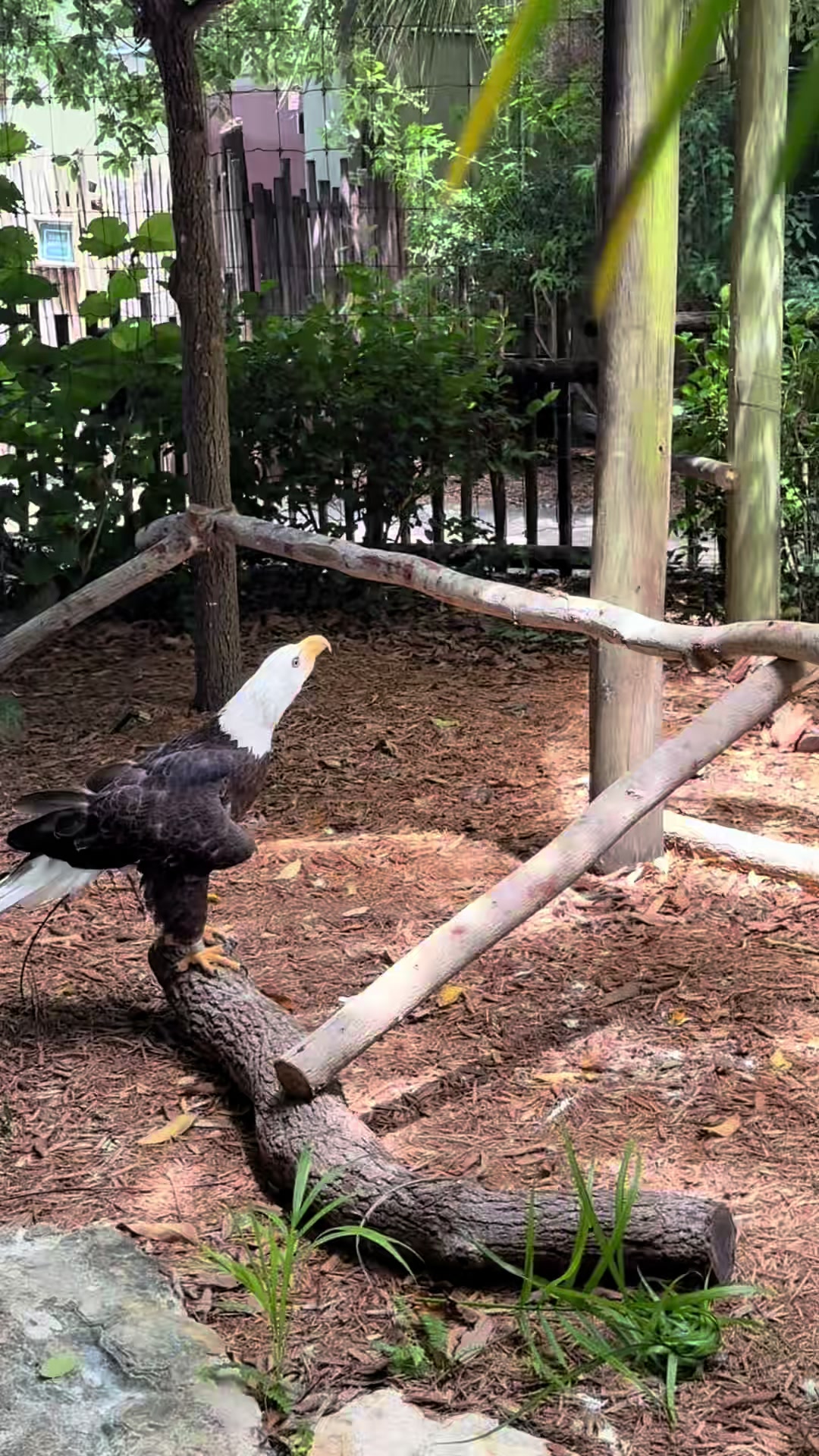 @Palm Beach Zoo