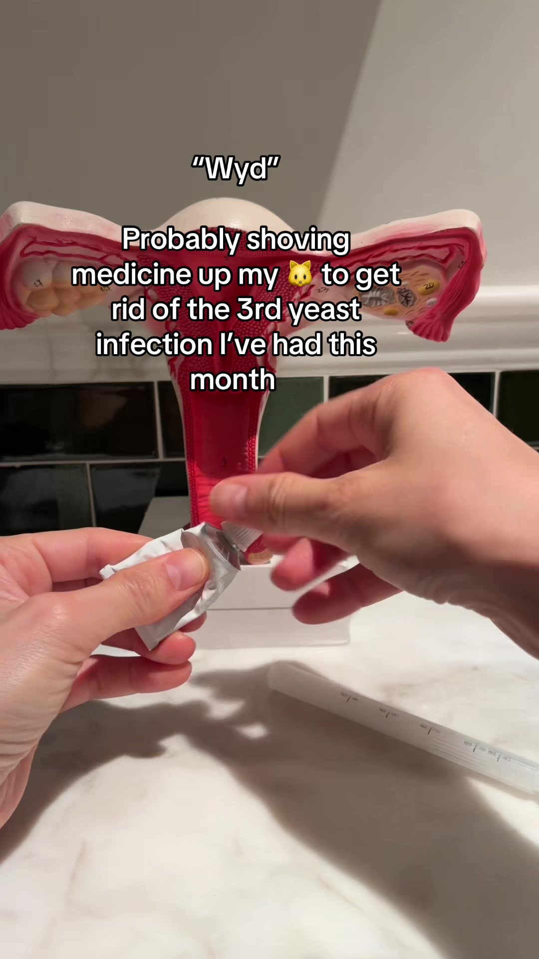@Evvy