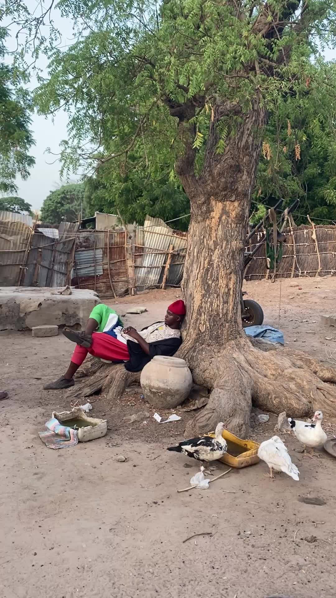 @kawcomedy1🇬🇲🇸🇳🇬🇳