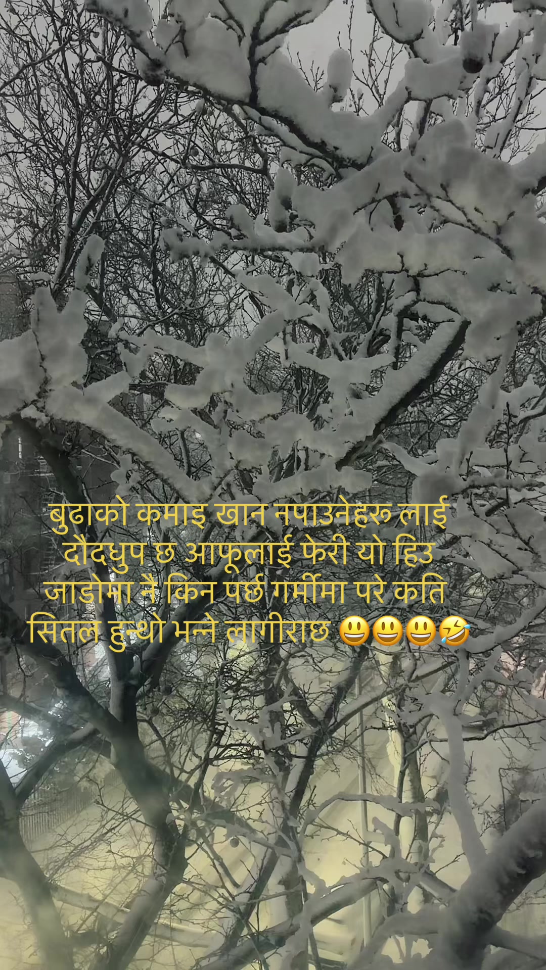 @Yani parikrama