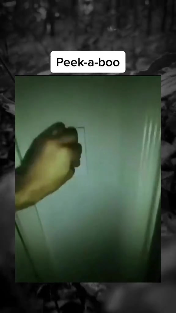@SCARYVIDEOS