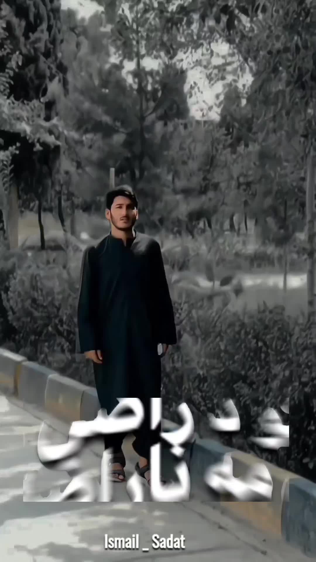 @ismail sadat