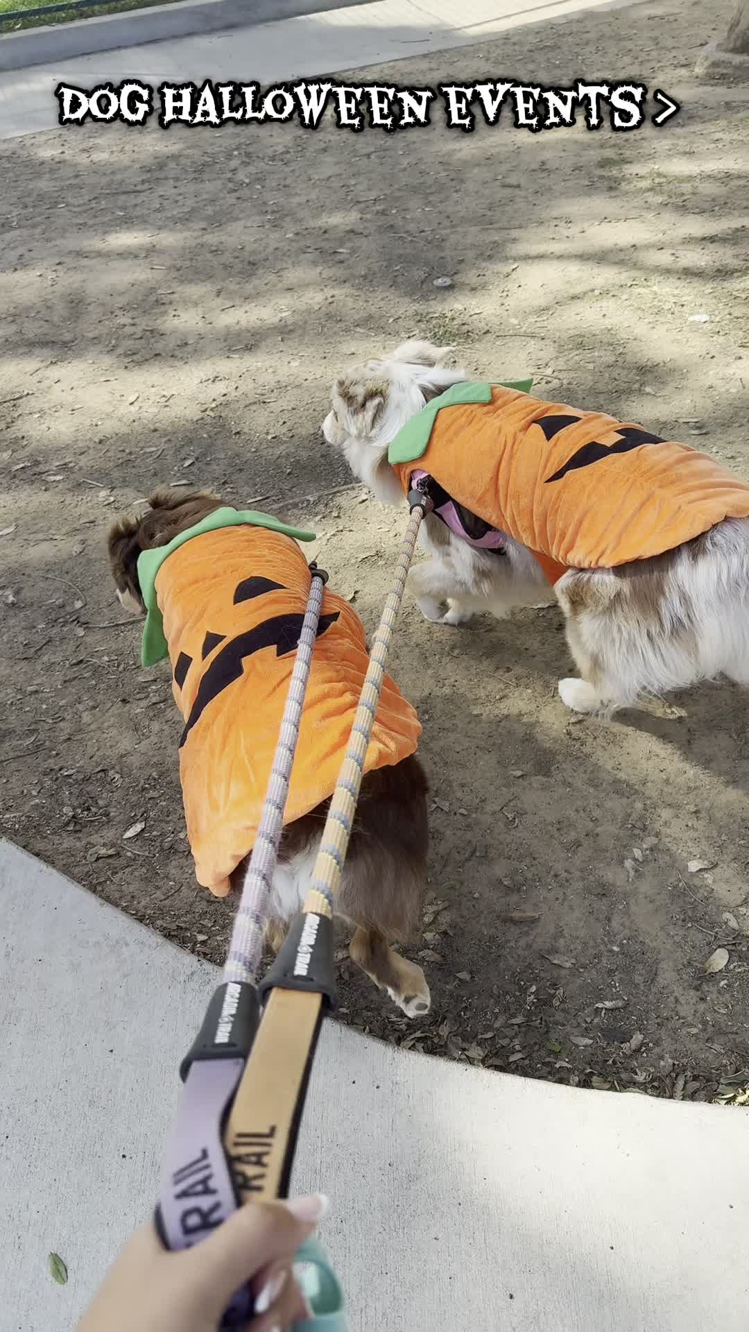 @Pretzel 🥨