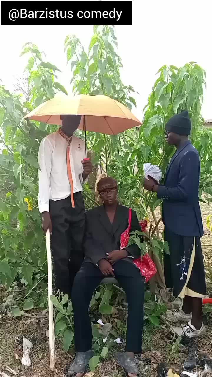 @barzistus