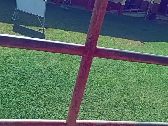 @~Tavii🍪.
