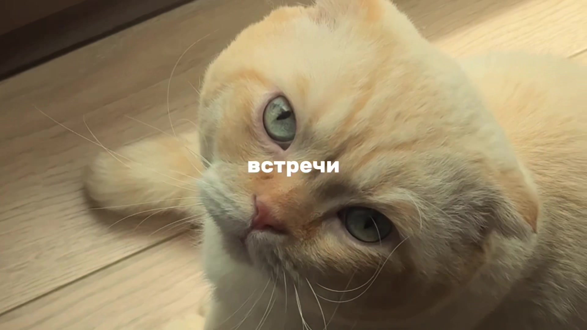 @Anna Kravets