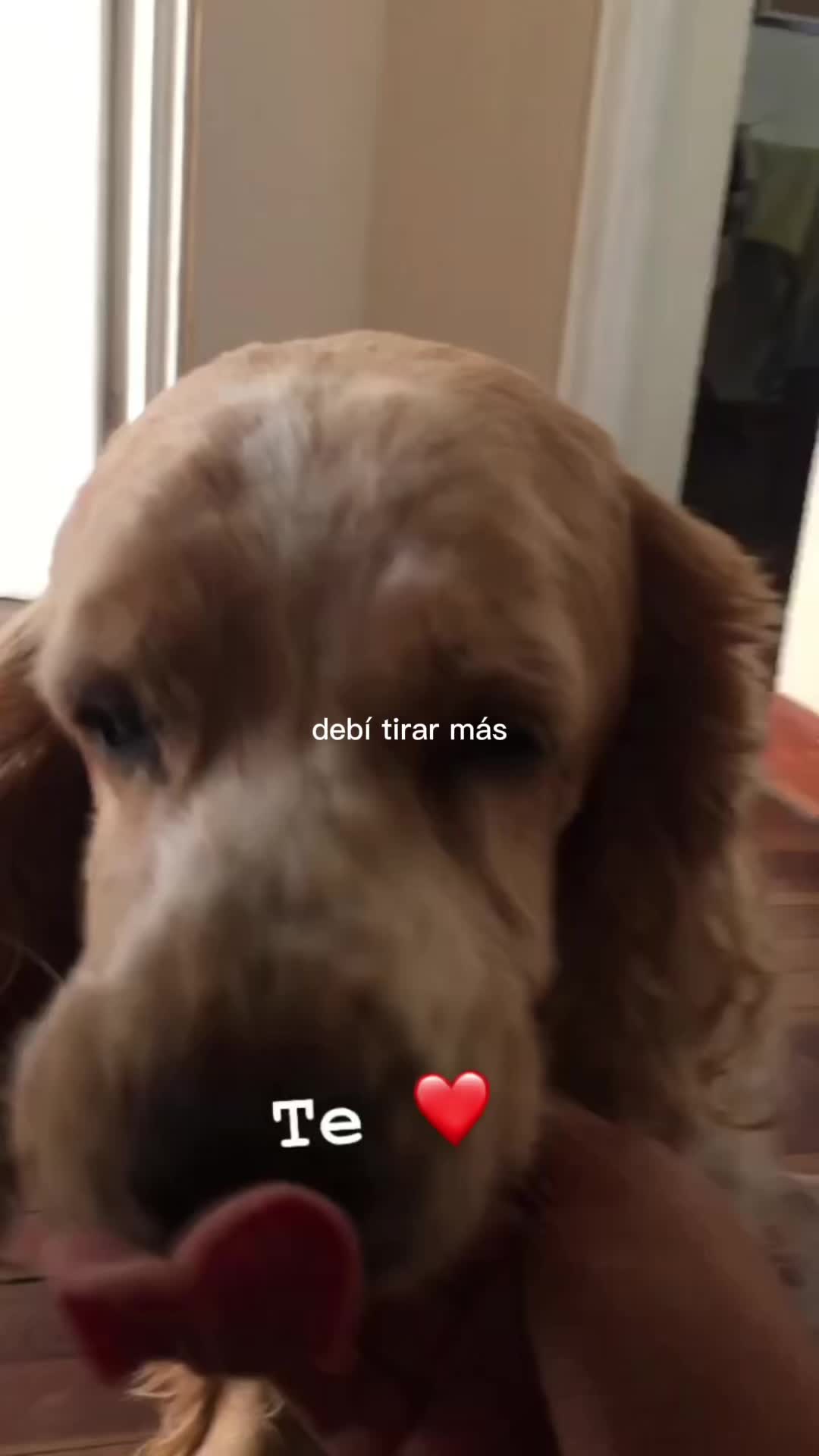 @Tati Merino Quiroz