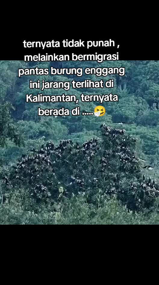 @uluh itahkia