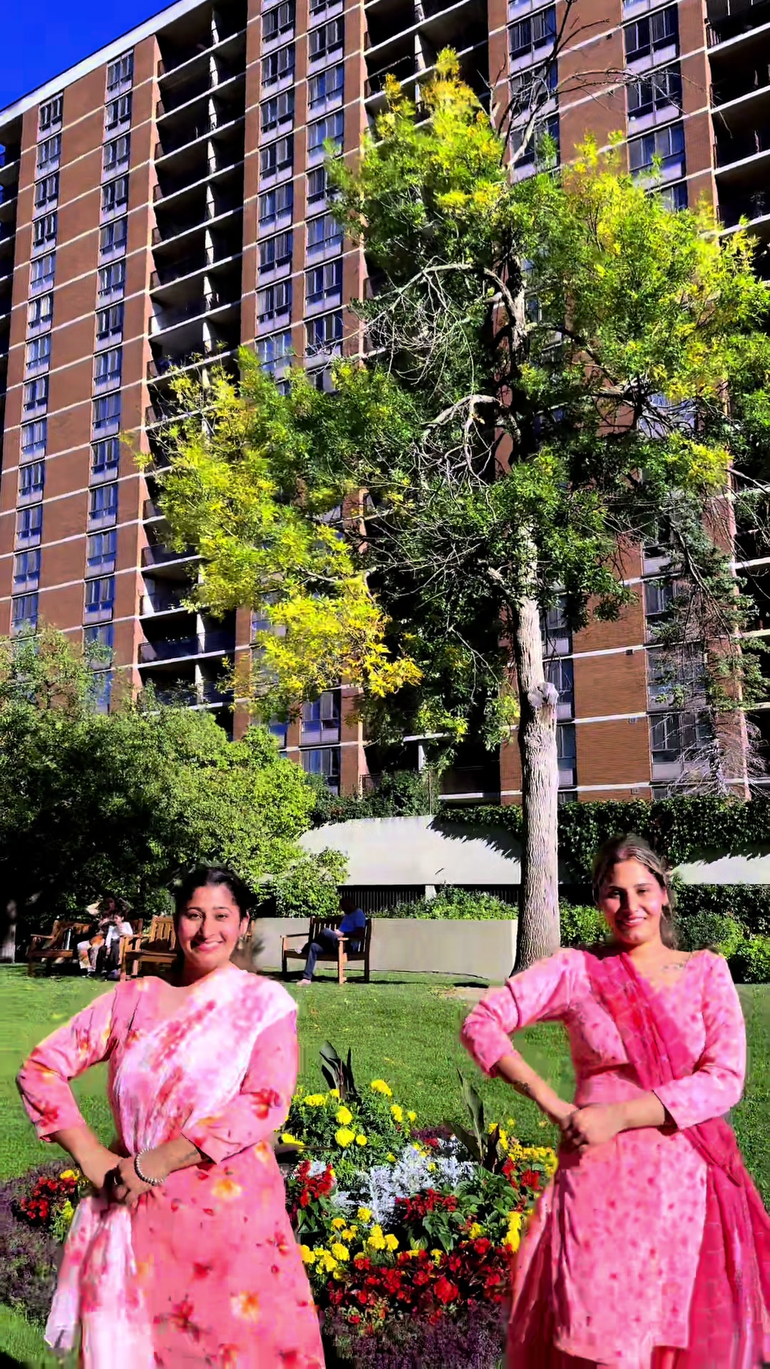 @Bhangra_with_majajanzz
