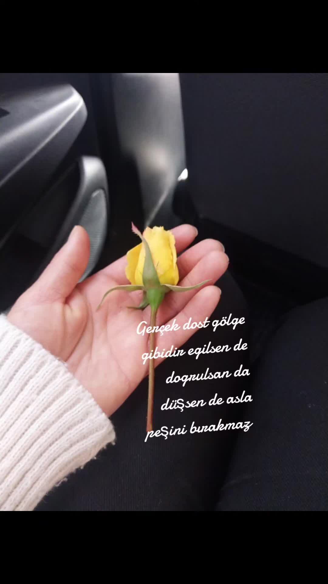 @Ayşe S🩷A