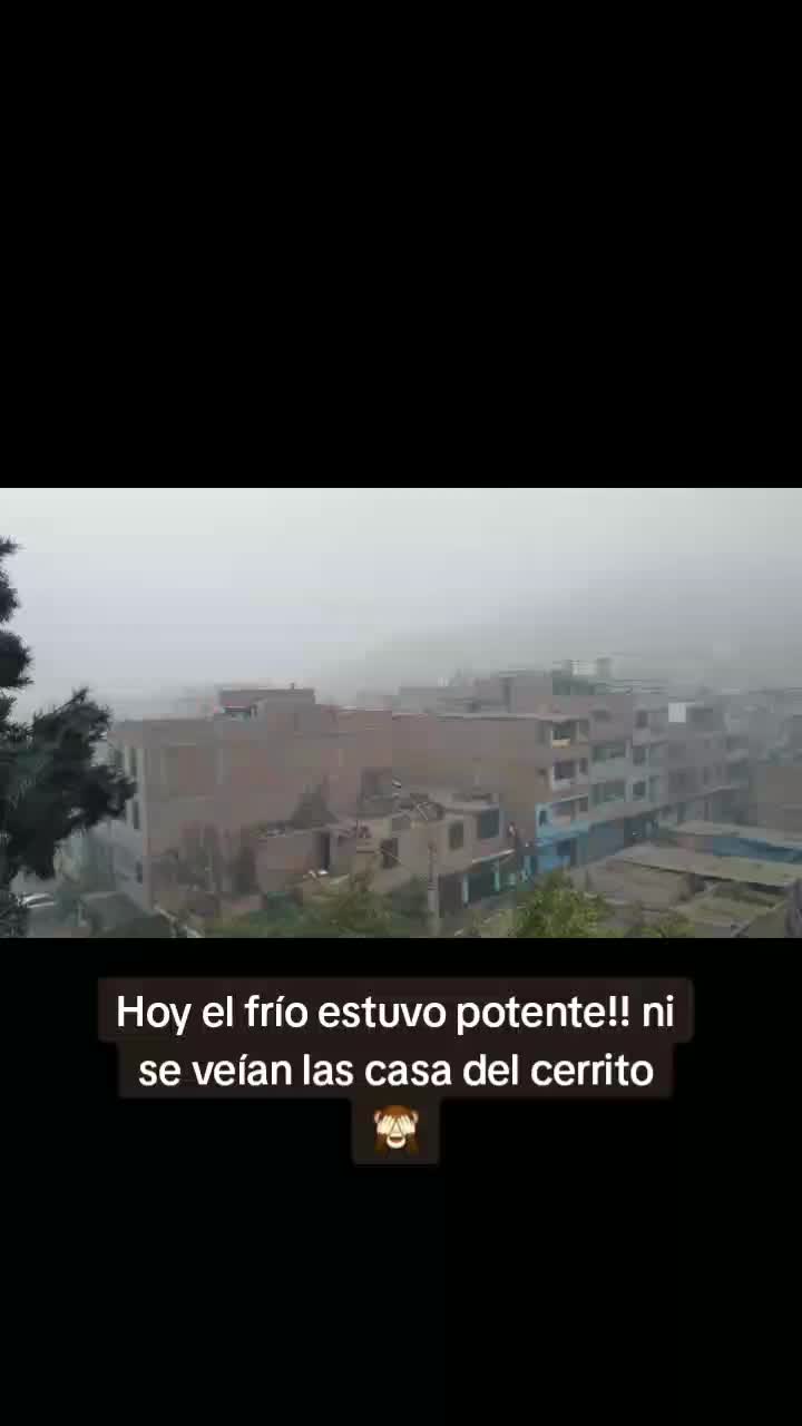@Shirley