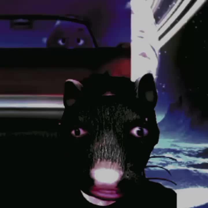 @snd.vtzs