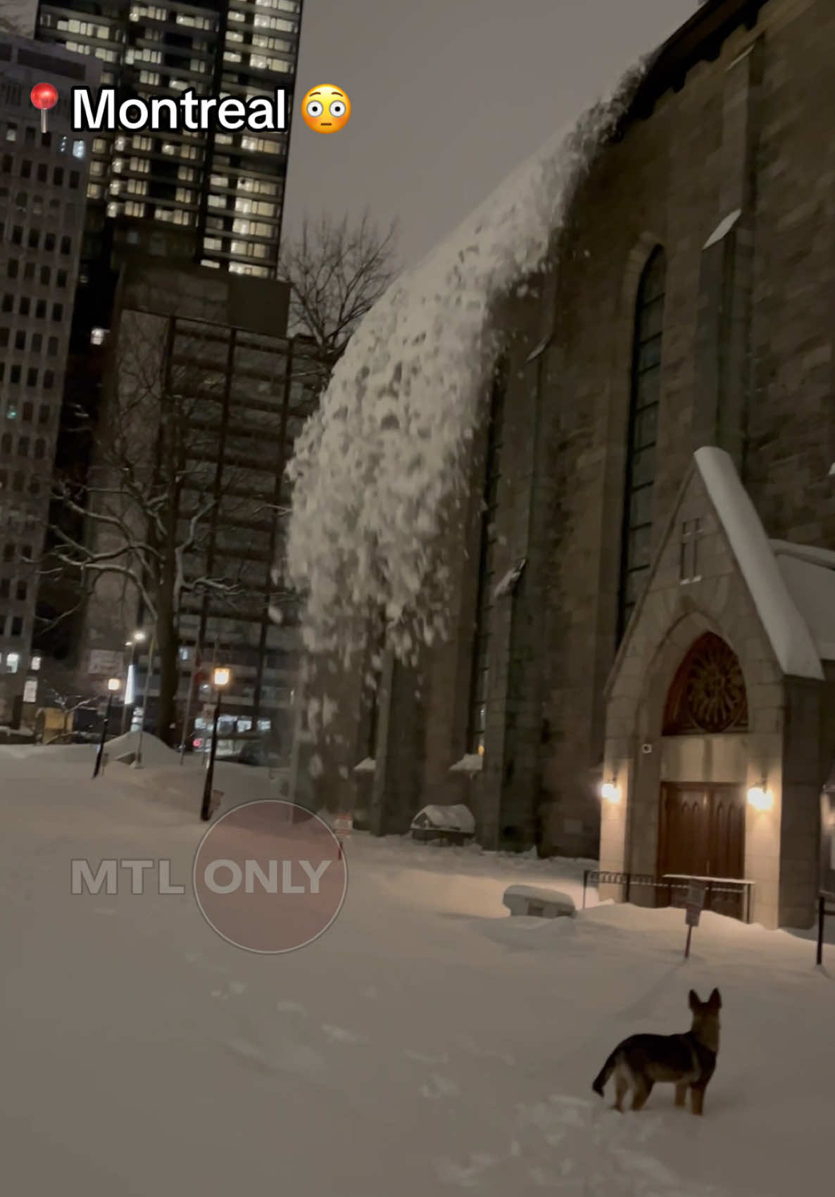 @Montreal Only