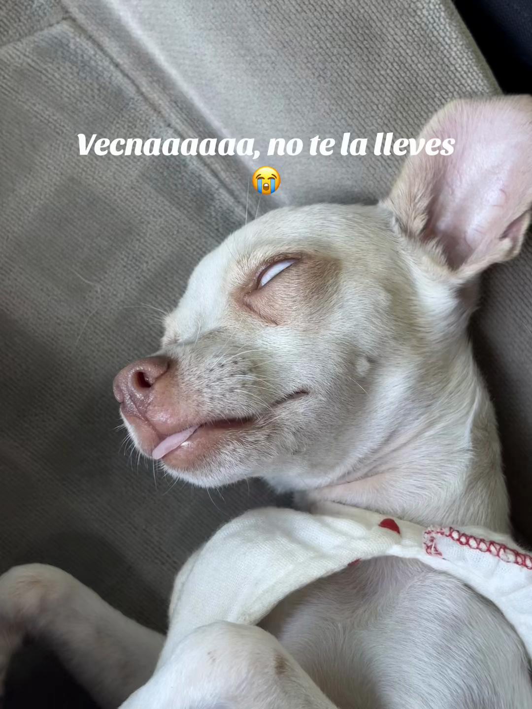 @kevinherrera648