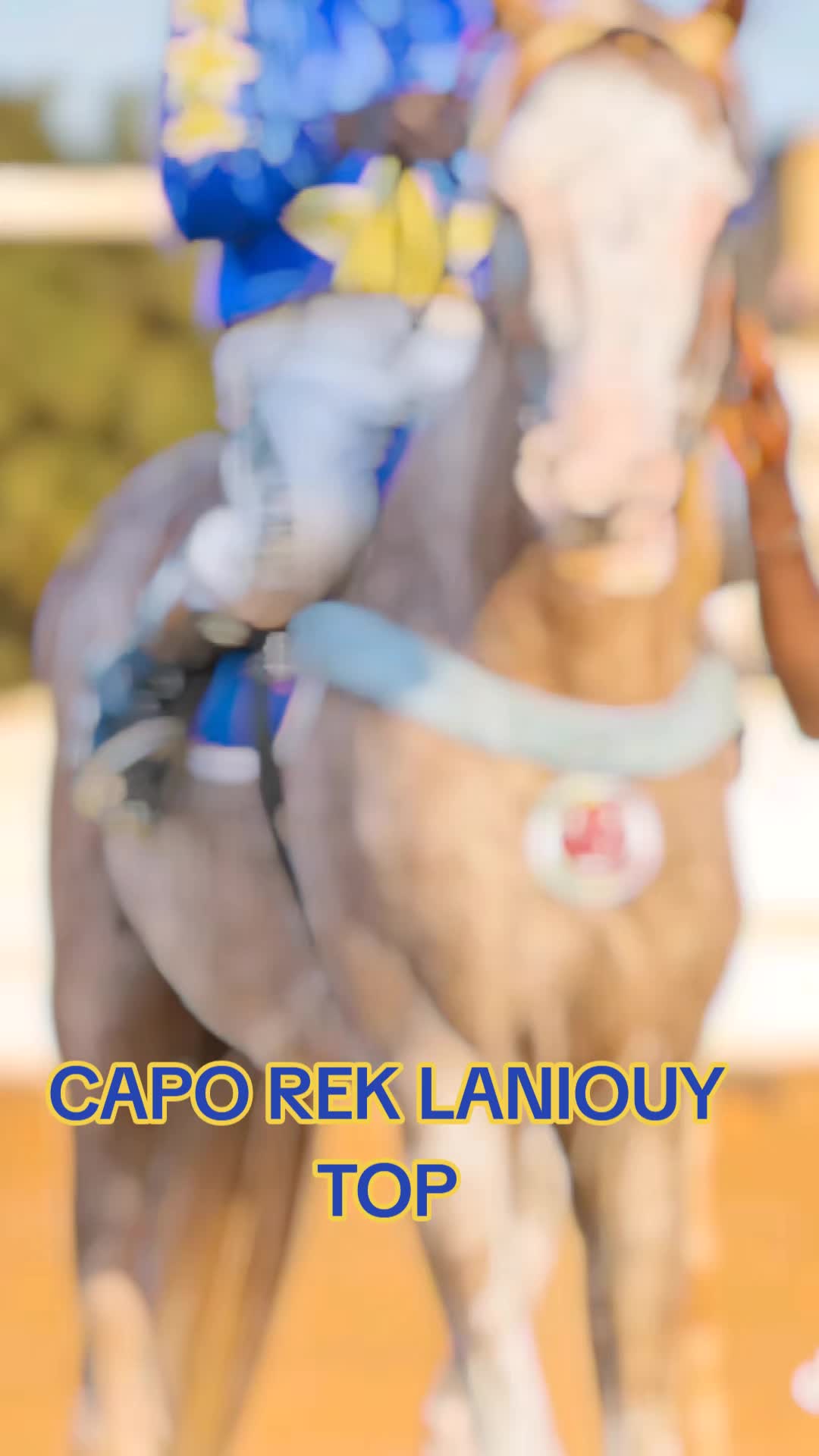 @Metzo🐎 bou tawfekh⚔️