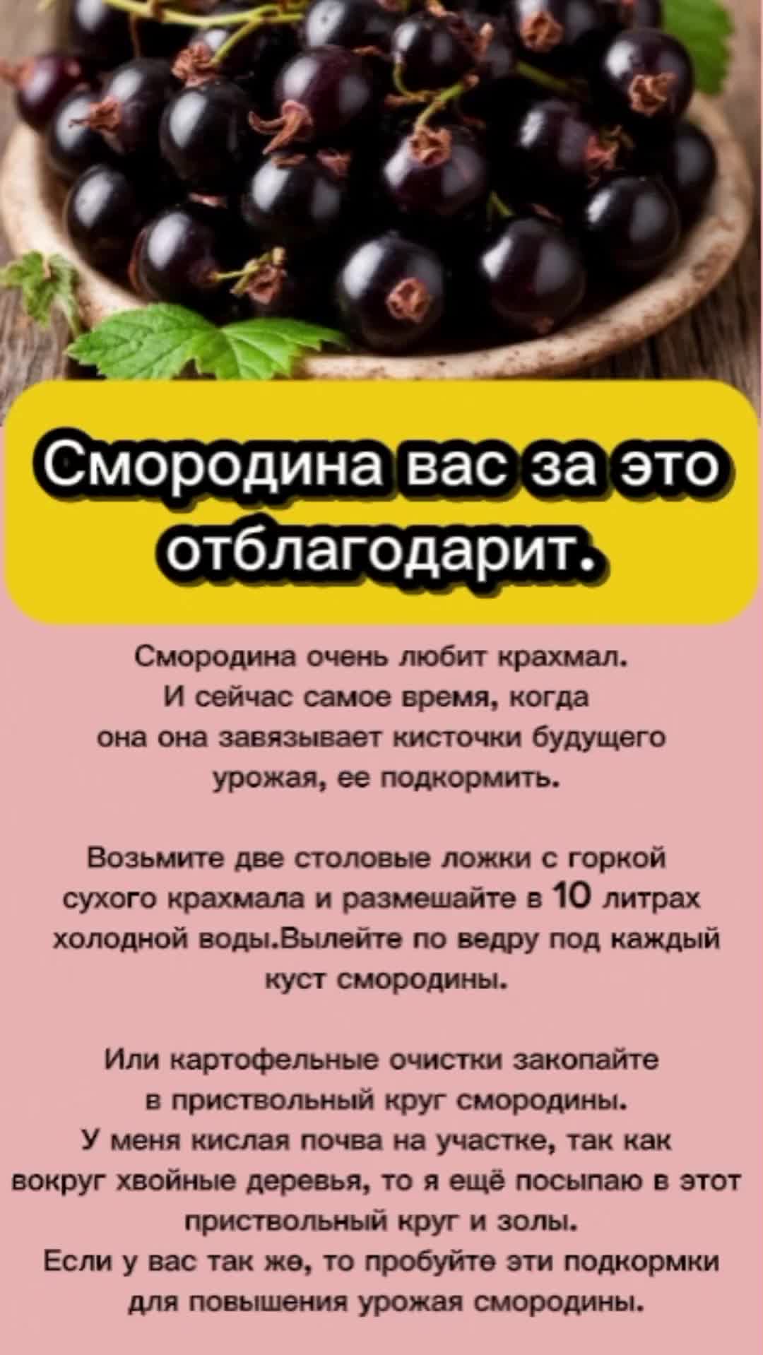 @Ogorodozigzag