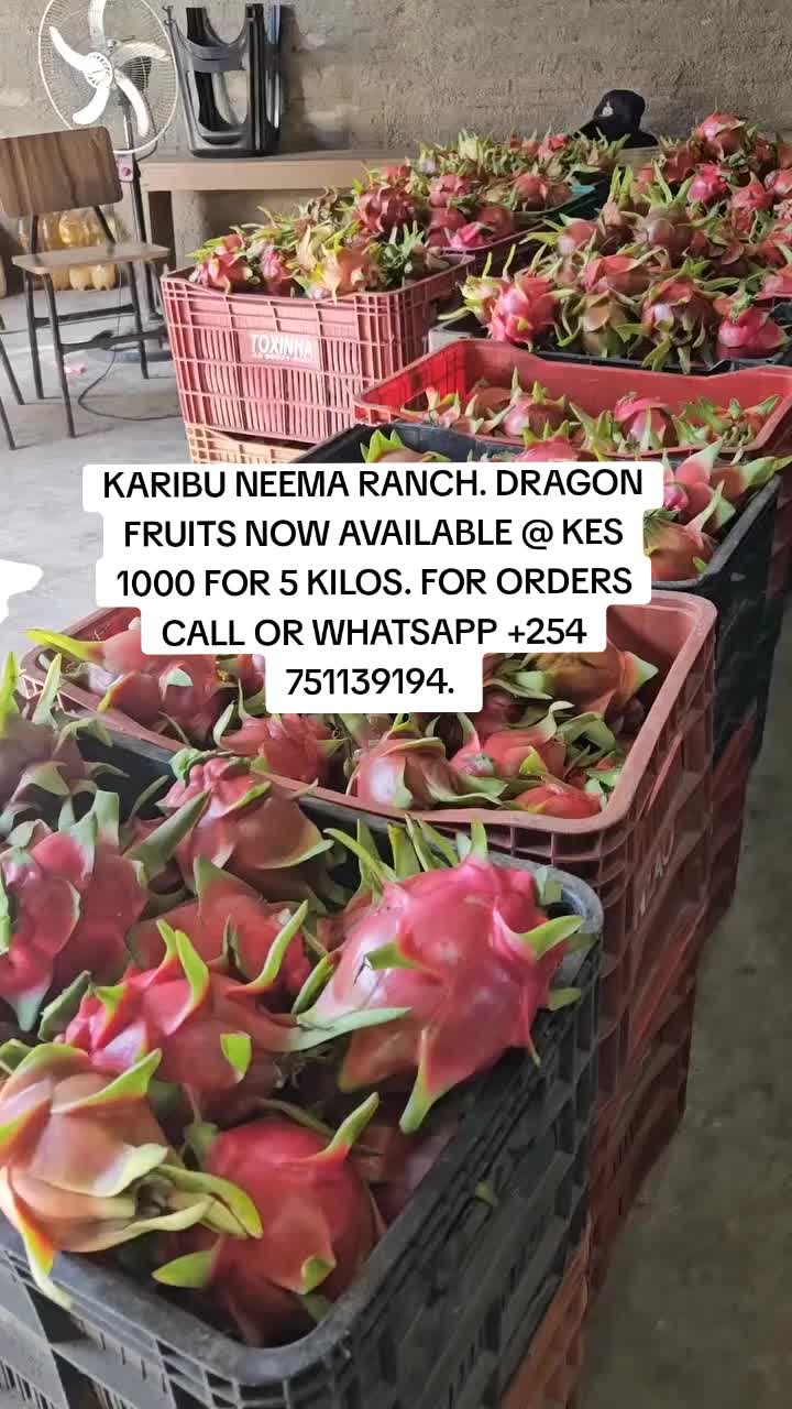 @NEEMA RANCH