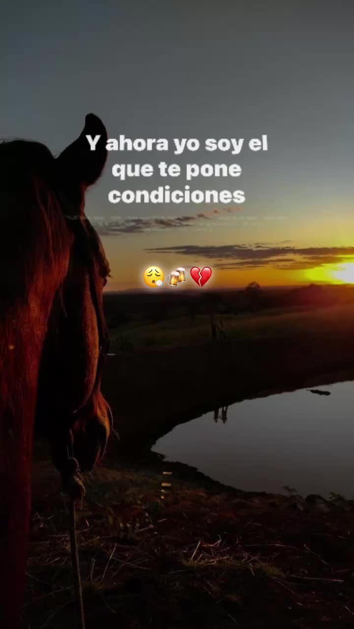 @Norteñas sax