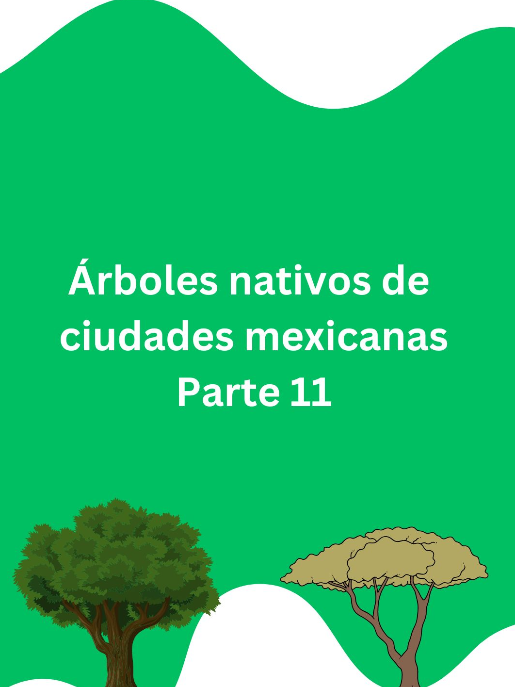 @Ecoversión
