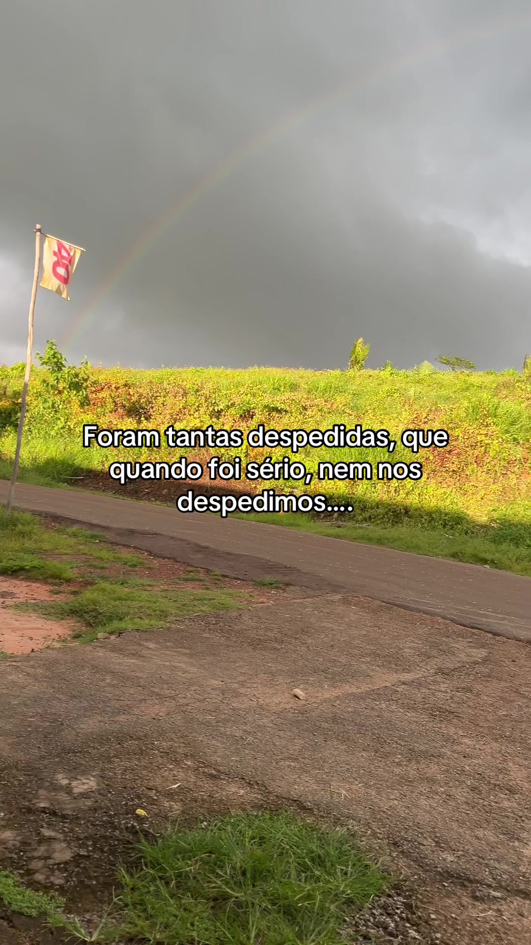 @islanelinhares0