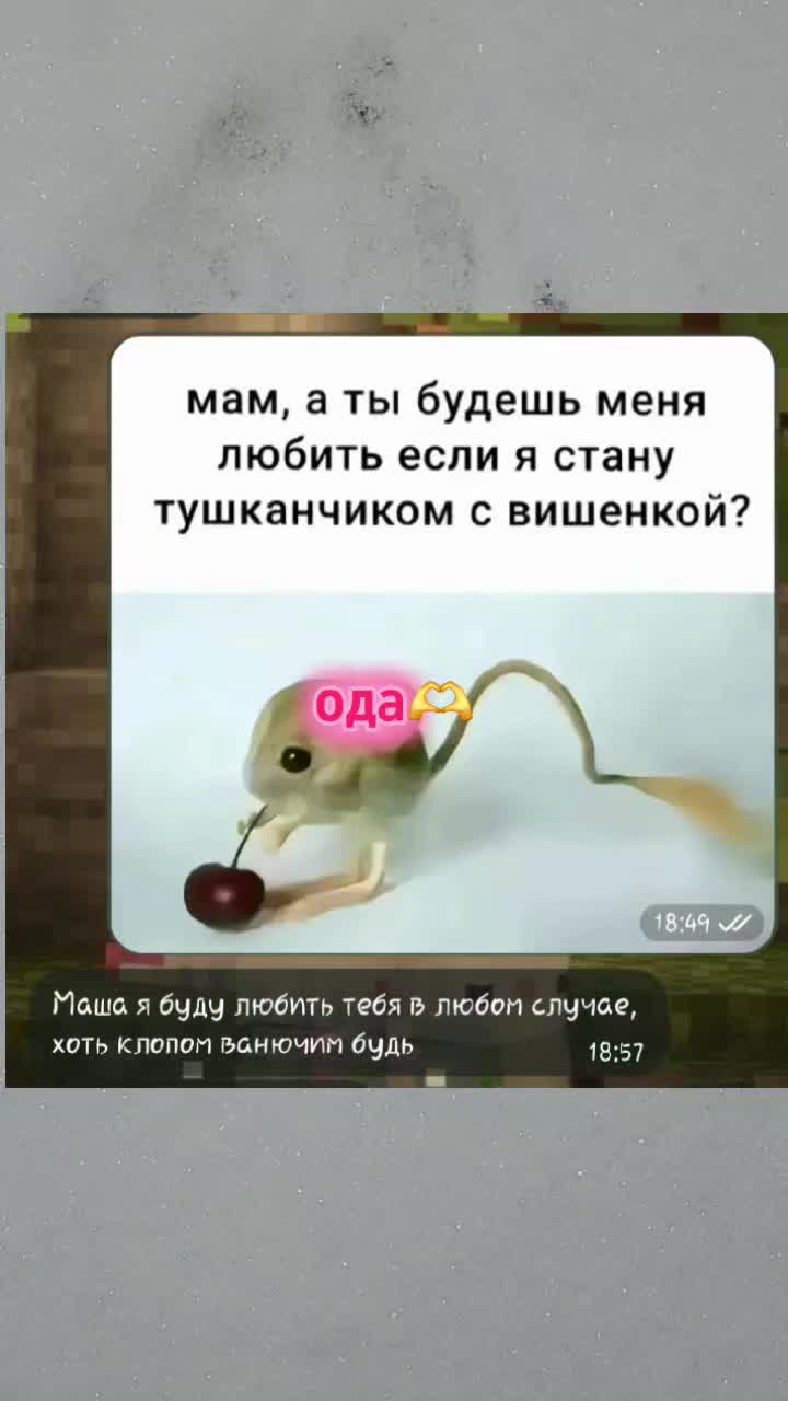 @Mashina