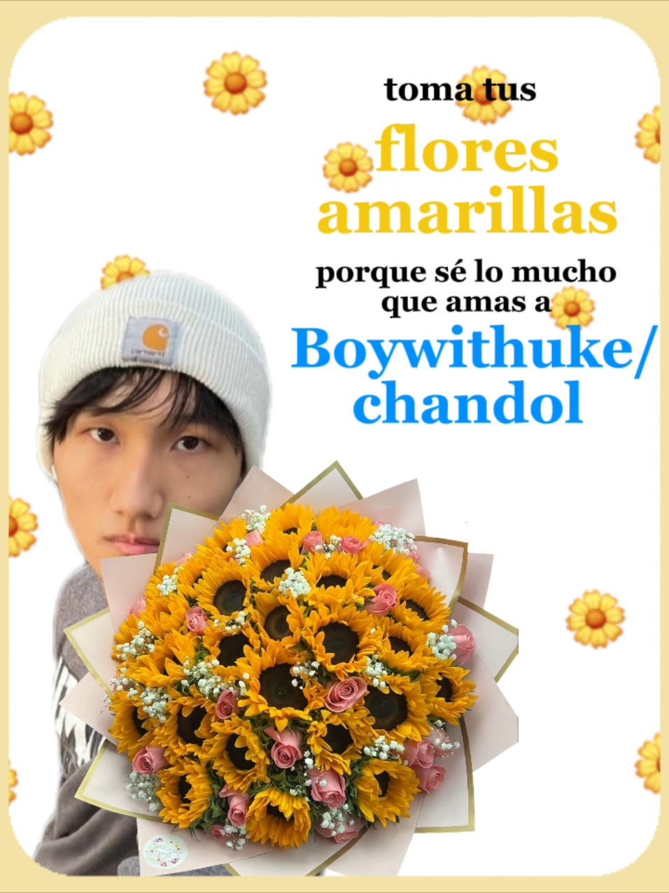 @ּ ֶָ֢.ּ ⋆ℂhandol fan ★