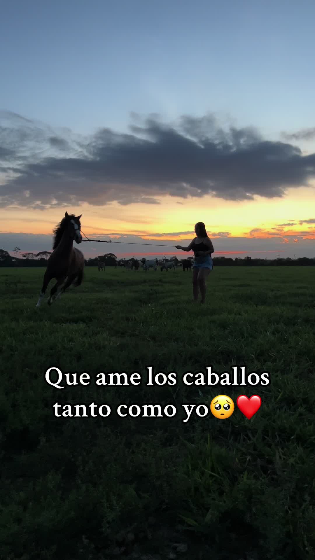 @Aleja🐴
