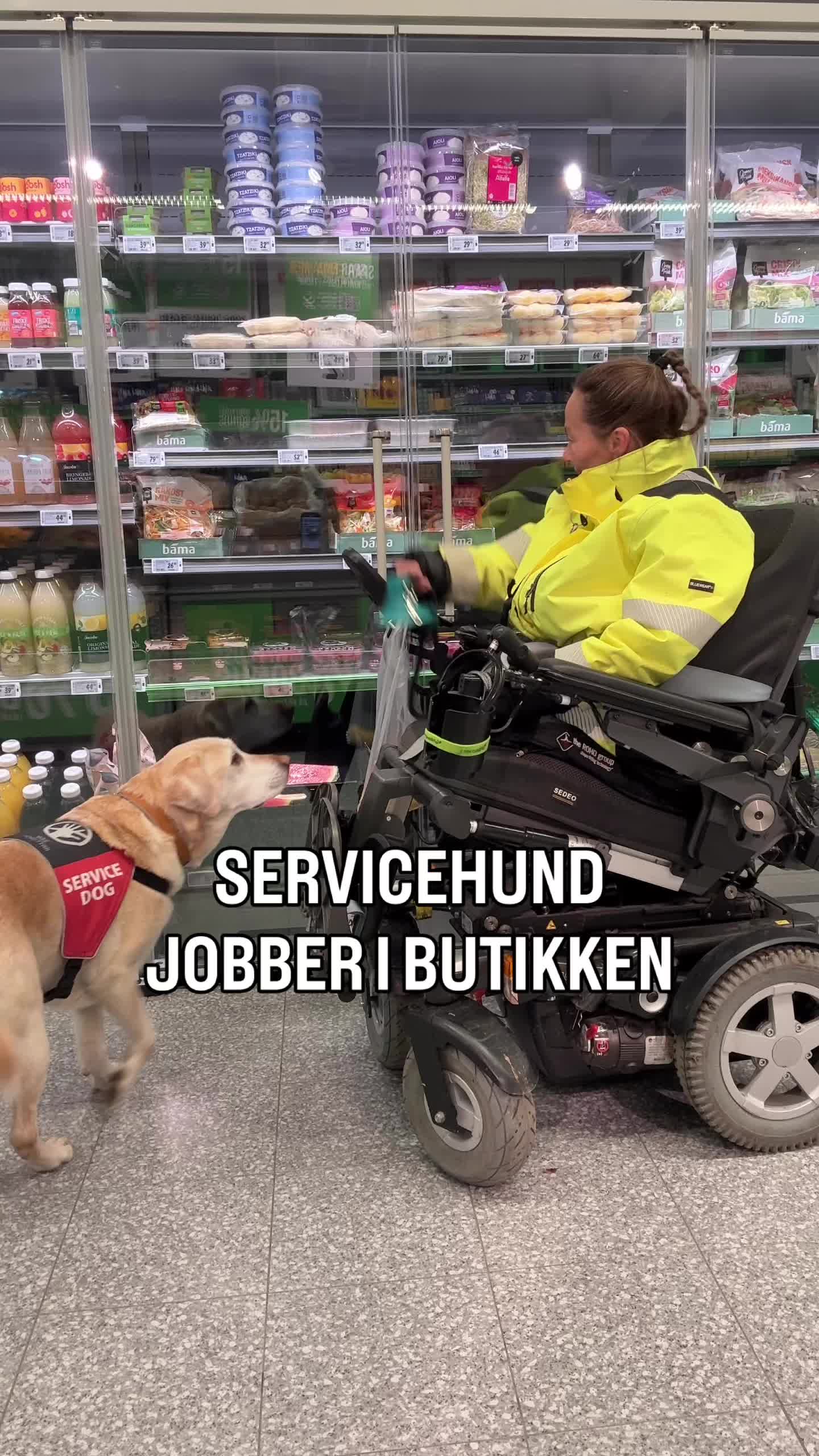 @MyHippiDog & Liv Tone 🇳🇴