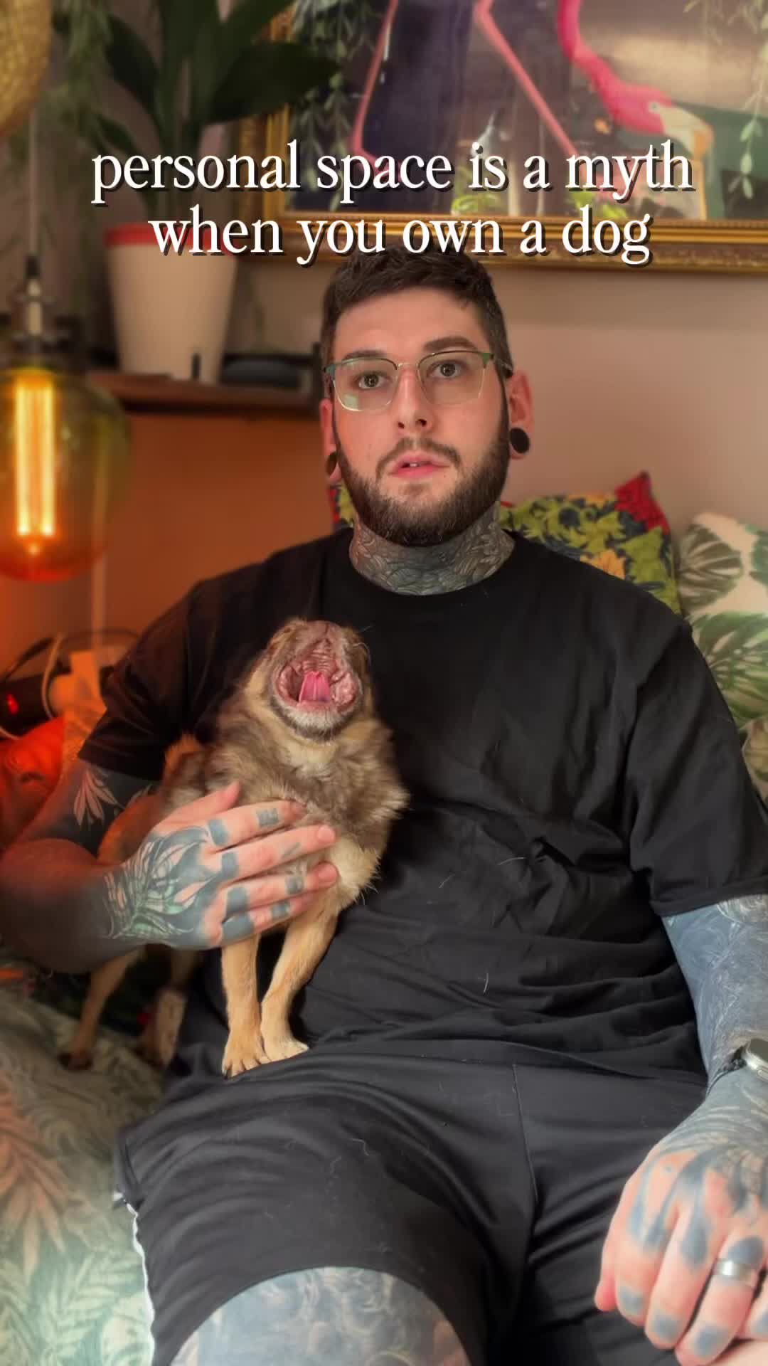 @ChilliThePug