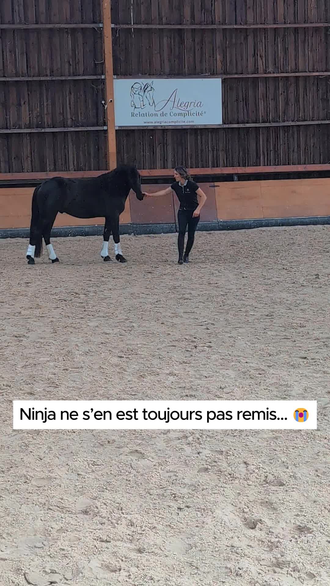 @Alegria Relation de Complicit&eacute;