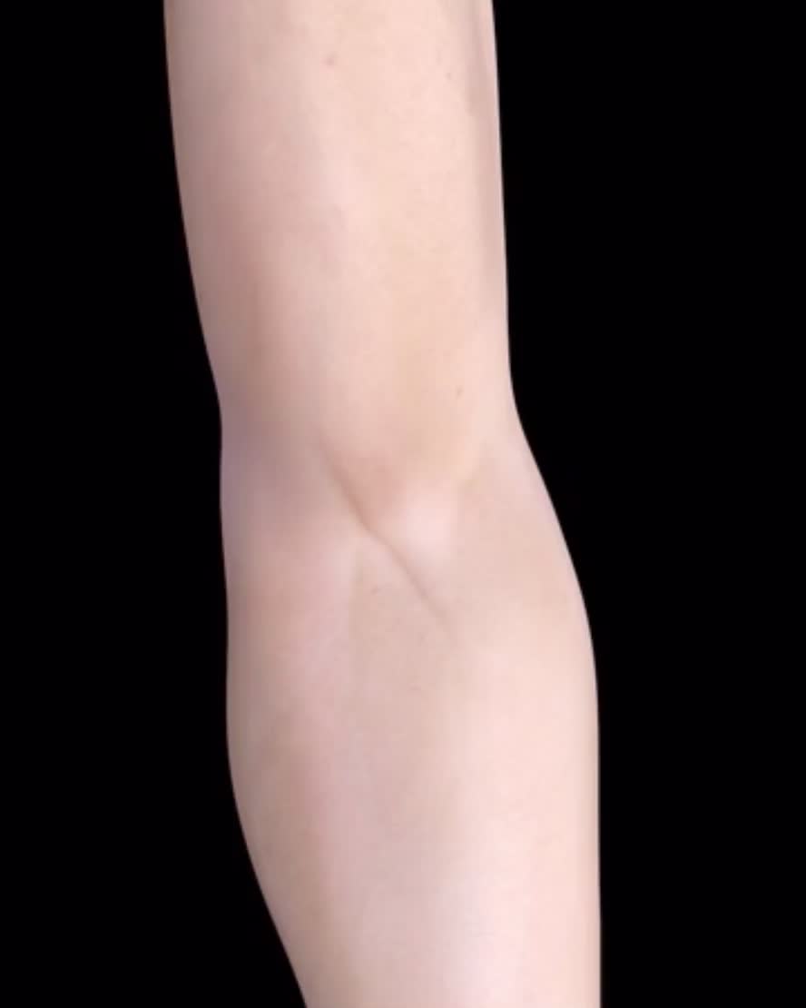 @Pasi&oacute;n por la Anatom&iacute;a