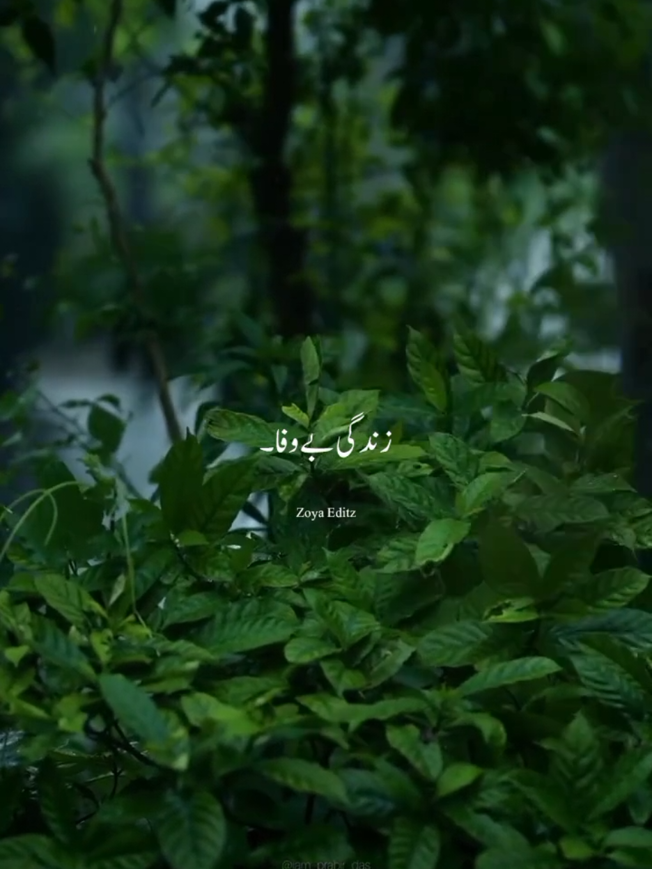 @๐๐จ๐ฒ๐ ๐๐๐ข๐ญ๐ณ ๐ซ