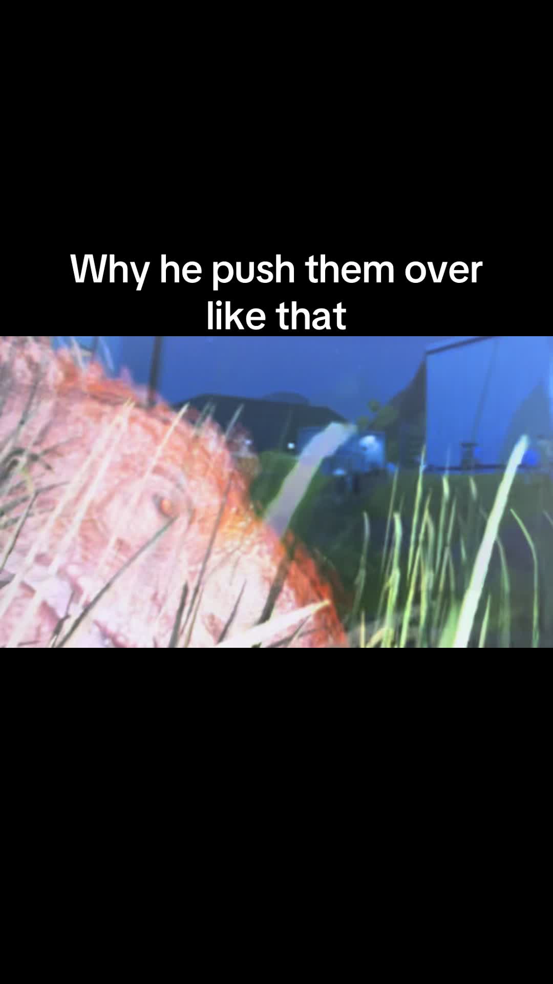 @Bobtoureee