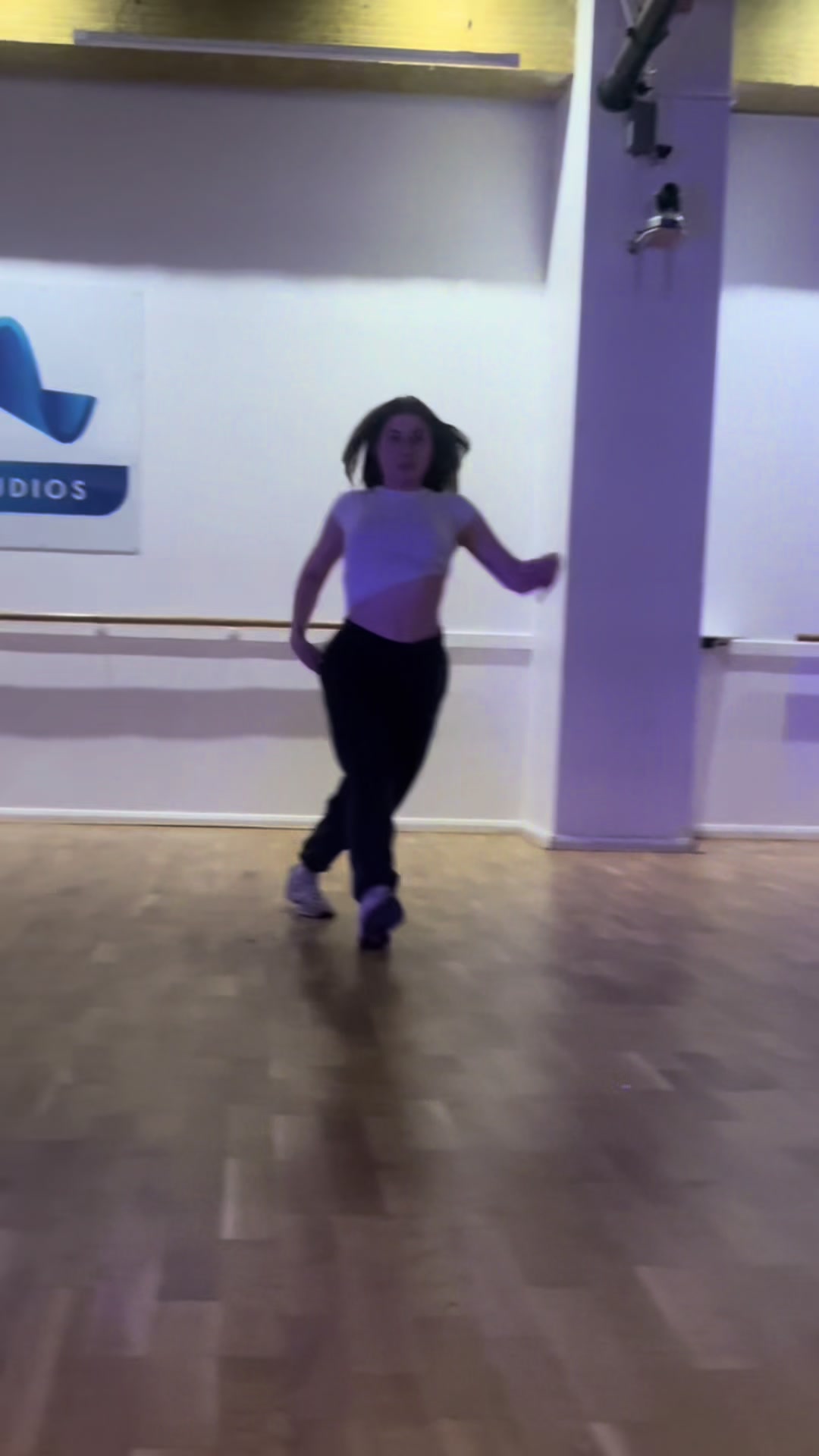 @holswilddance
