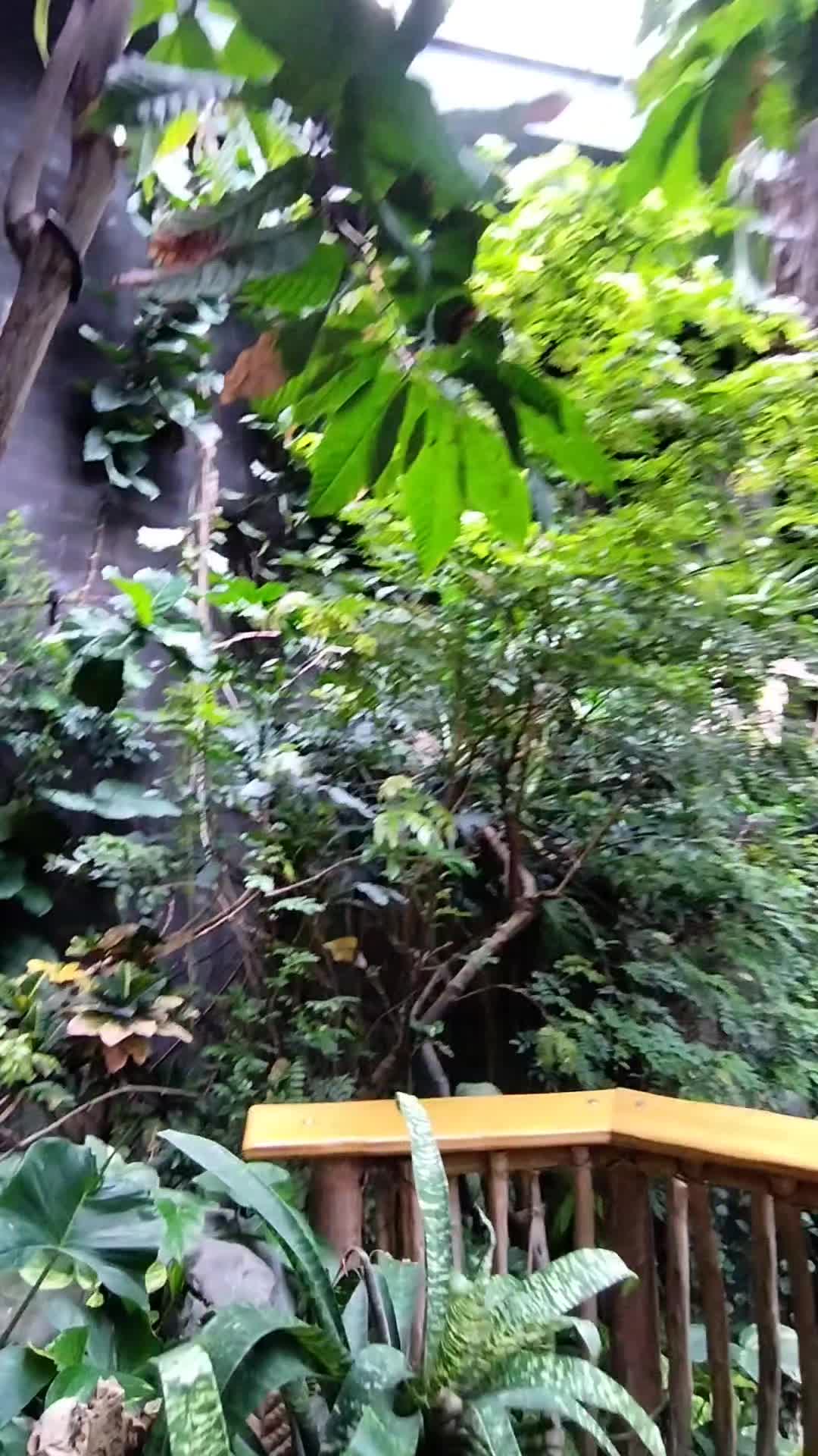 @AJIEKCAHDP
